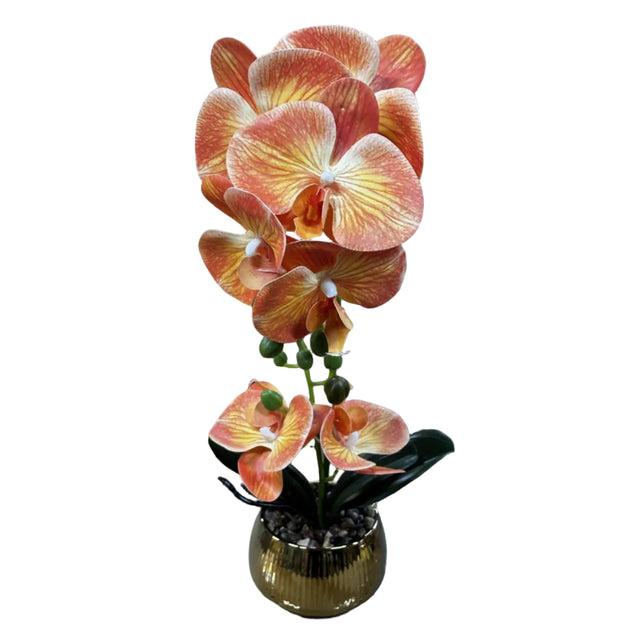 Orange orchid in gold pot 43cm