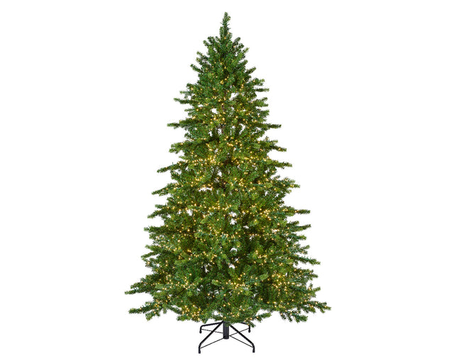 Galloway Spruce led indoor 2.1m Christmas tree