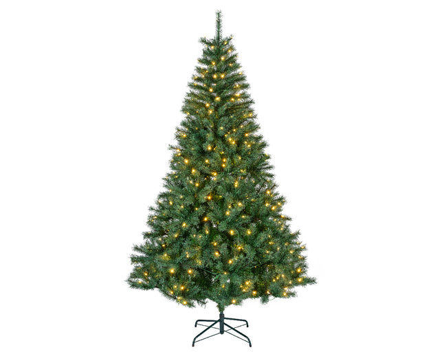 Canada Spruce LED Indoor 2.1m