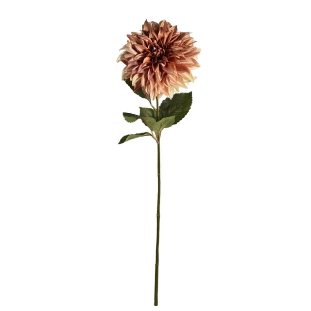 Dahlia Dusty Pink 16x73cm