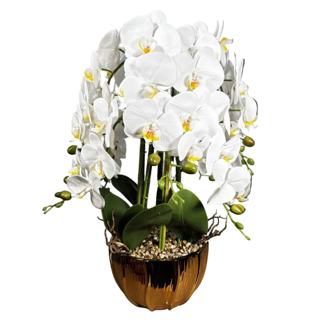 White orchid in gold pot 72cm