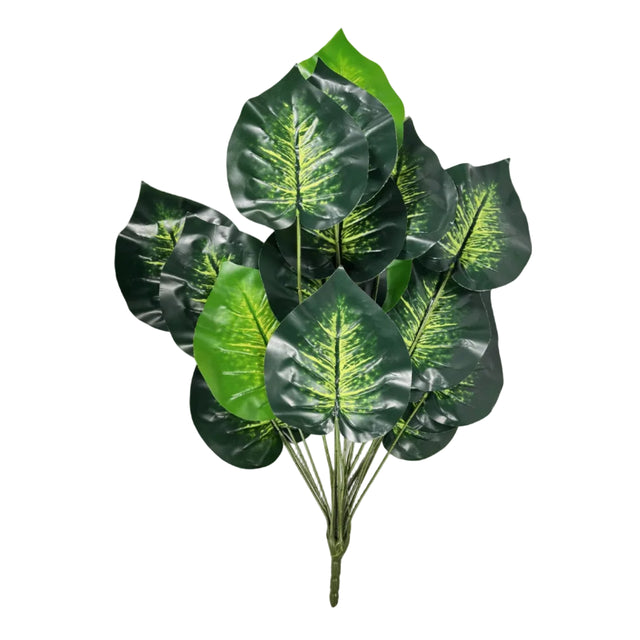 Philodendron stem 70cm