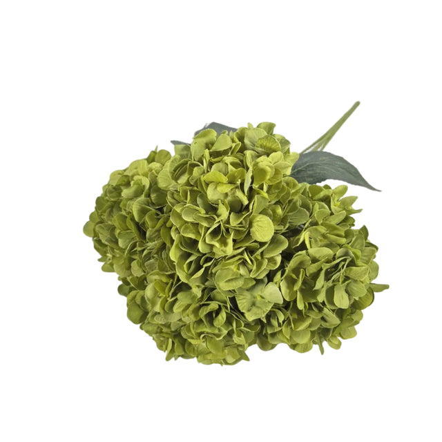 Hydrangea green 48cm