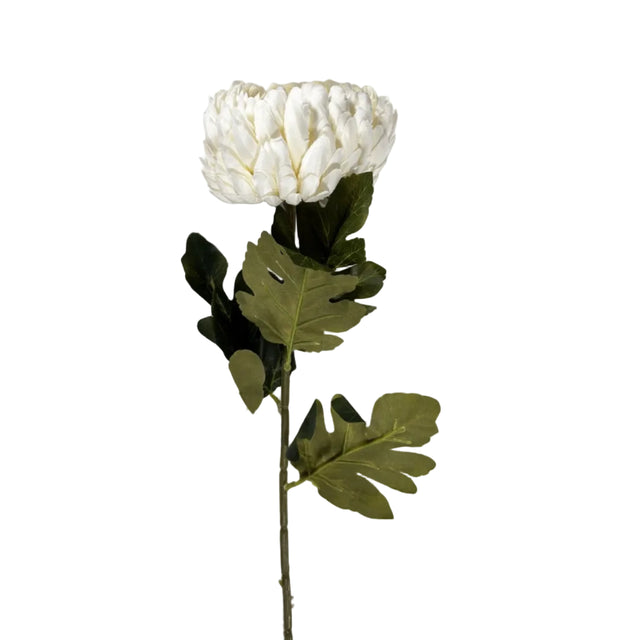 Chrysanthemum 72cm - white