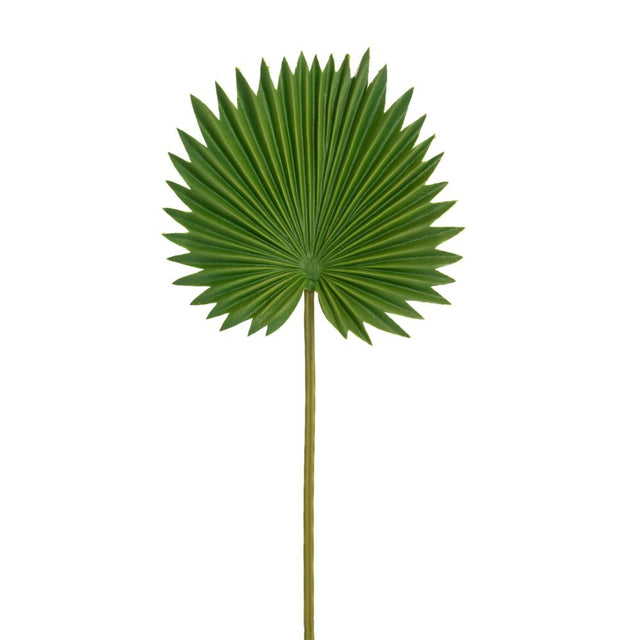 Green palm stem d-15cm