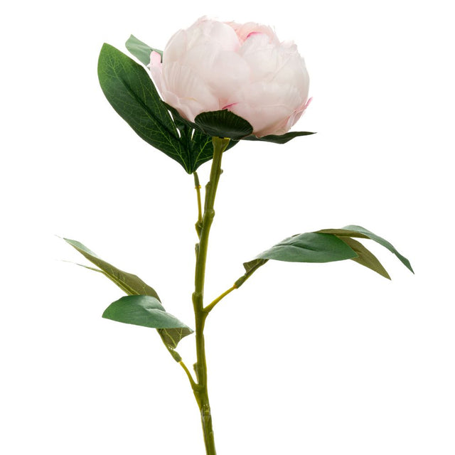 Artificial light pink peony stem 66cm