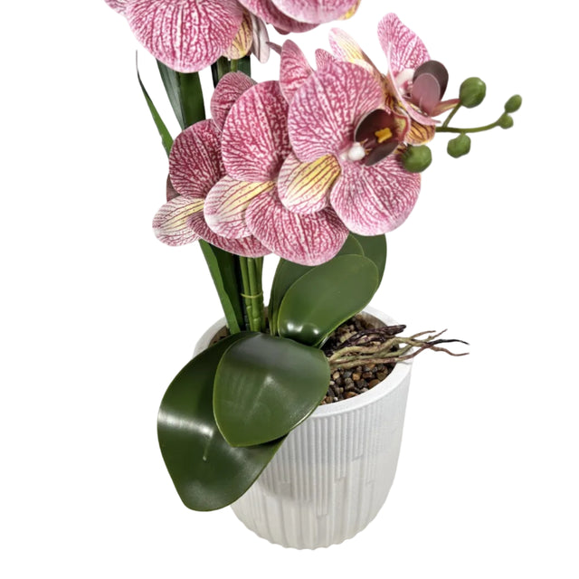 Purple orchid in white pot 72cm