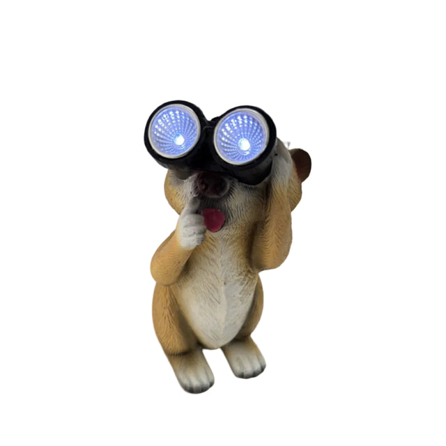 Solar Meerkat Pointing With Binoculars 22.5cm