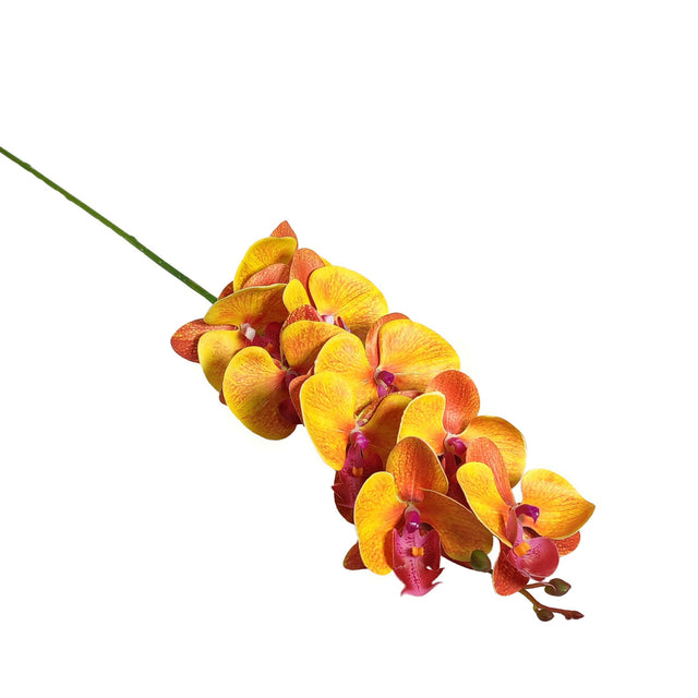 Orchid 100cm Yellow