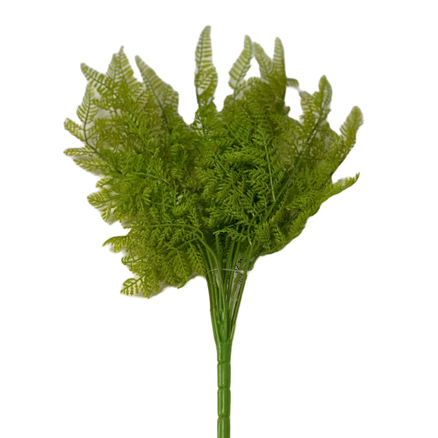 Fern Green