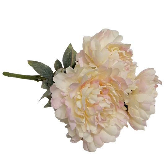Peony Bunch 50cm - Cream