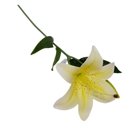 Lily 48cm L/Yellow