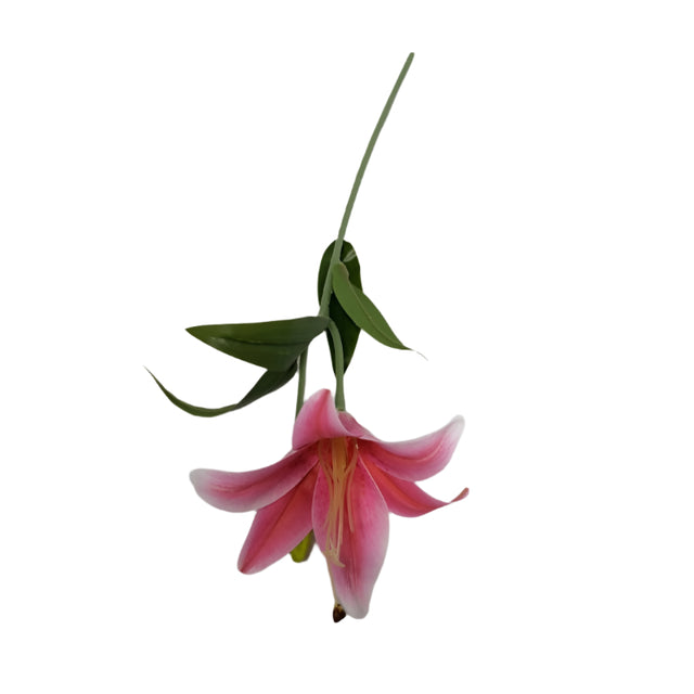 Lily 48cm D/Pink