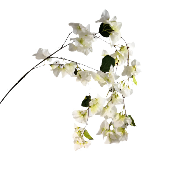 Bougainvillea on stem 135cm - White