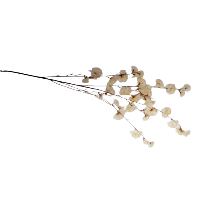 Blossom Stem 110cm - Cream