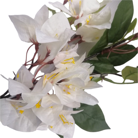 Bougainvillaea Stem 88cm - White