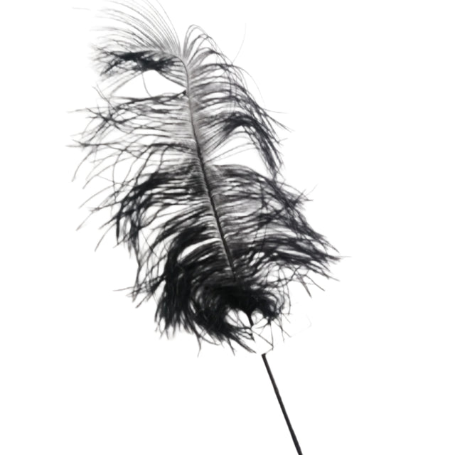 Ostrich Feather Black