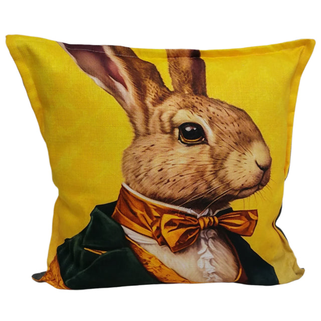 Scatter - Rabbit yellow man
