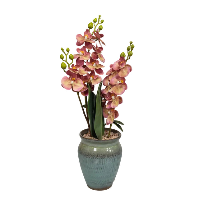 Mauve orchid in green pot 48cm