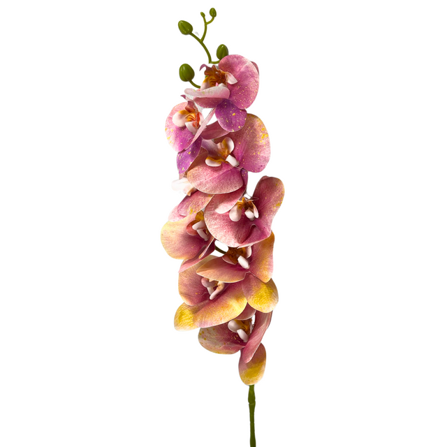 Orchid Stem 90Cm - Lilac