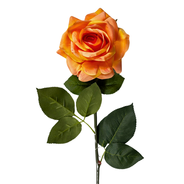 Rose Stem 75cm - Peach