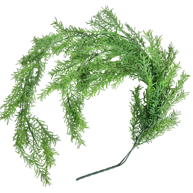 Asparagus fern stem 95cm