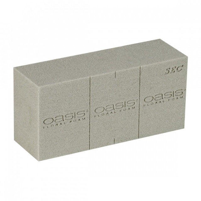 Oasis Sec Brick X 20 Box