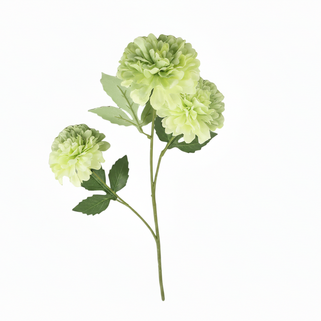 Carnation green 70cm