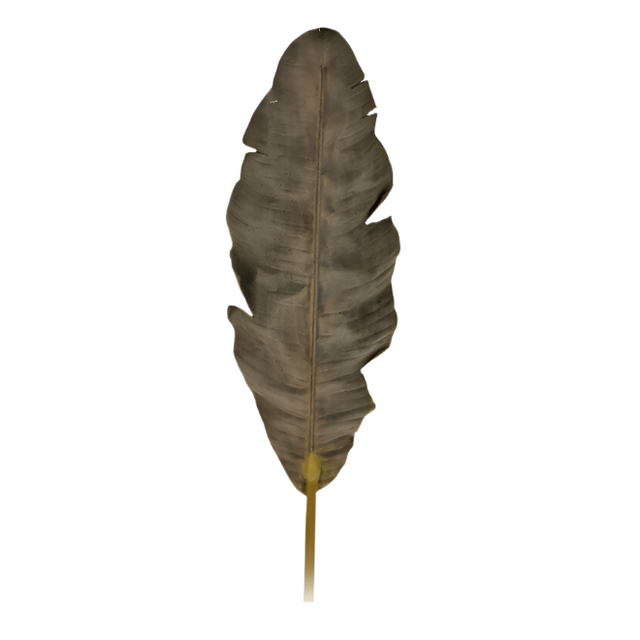 Banana Leaf, 28x5x140, Brown