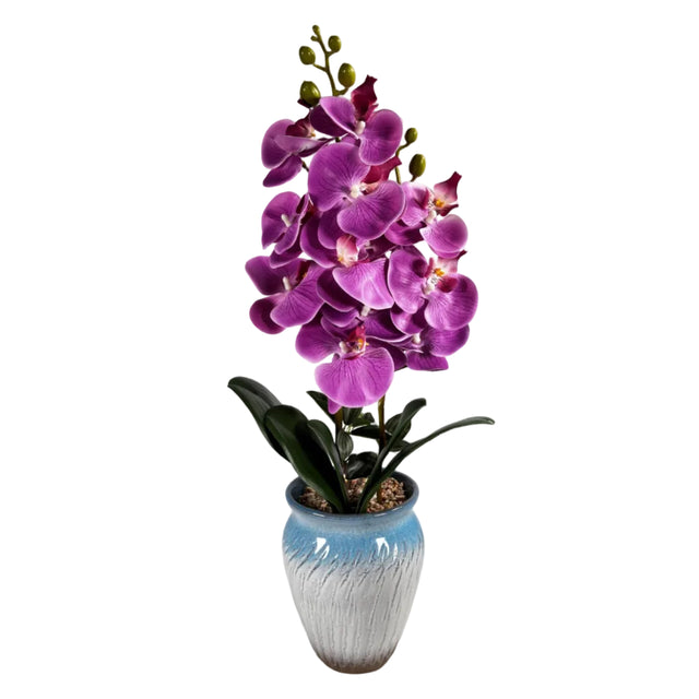 Pink & purple orchid in blue pot 55cm