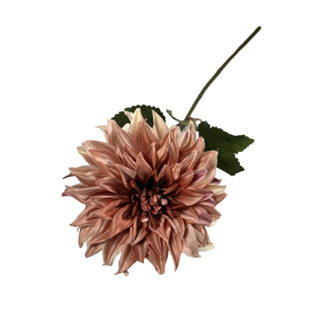 Dahlia Dusty Pink 16x73cm