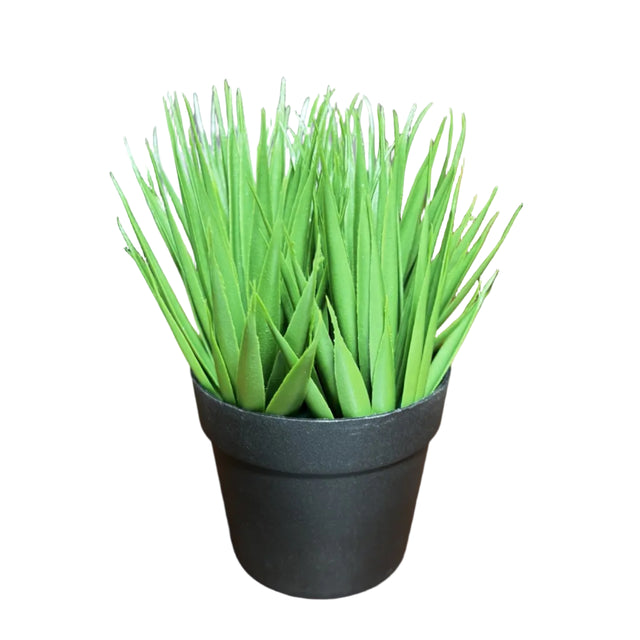 Artificial green plant 10x19cm in black plastic pot