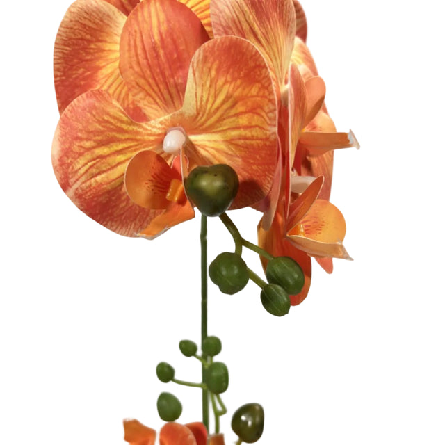 Orange orchid in gold pot 43cm