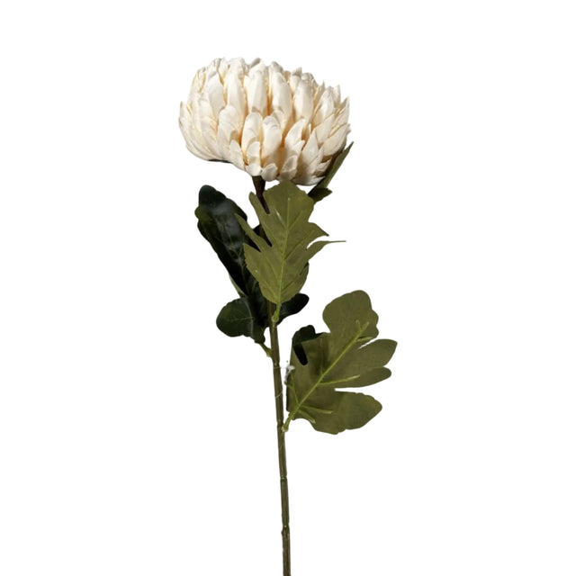 Chrysanthemum 72cm - cream
