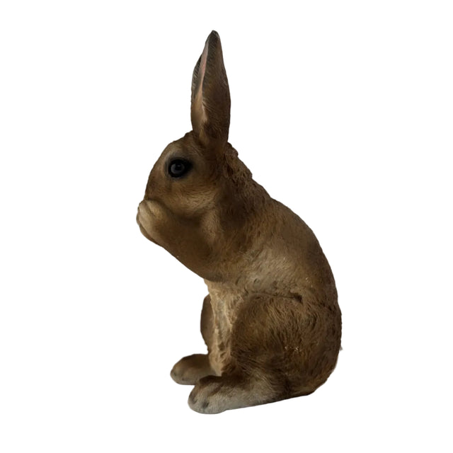 Rabbit Eating