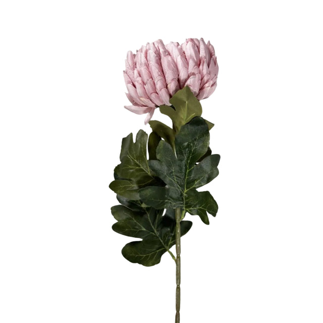 Chrysanthemum 72cm - light pink