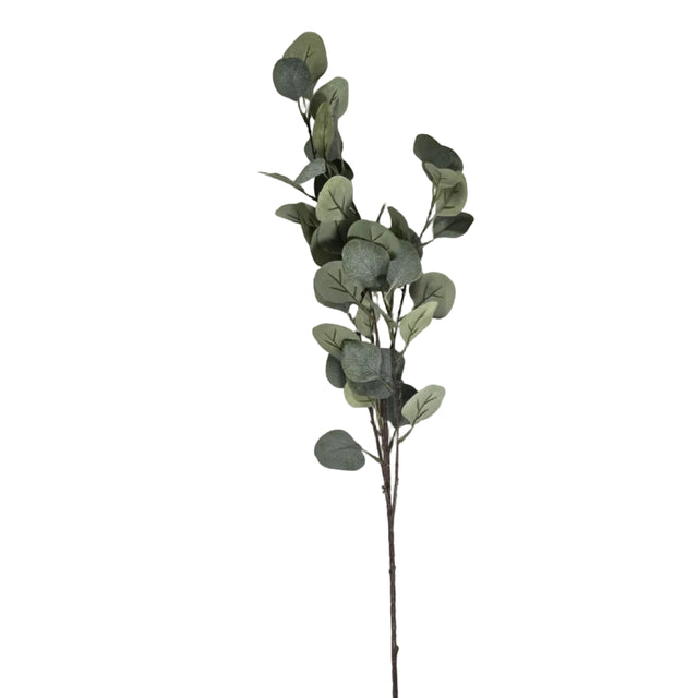 Eucalyptus Stem 92cm