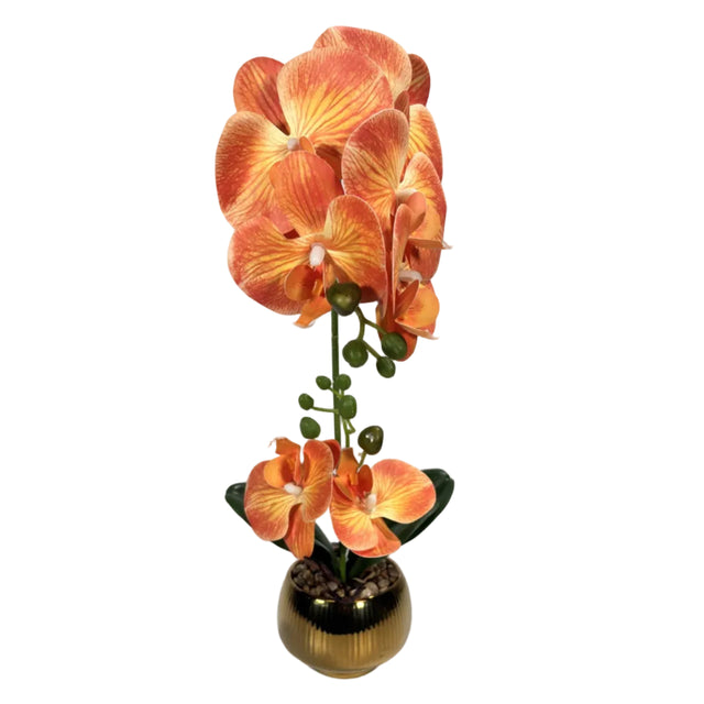 Orange orchid in gold pot 43cm