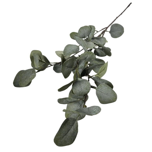 Eucalyptus Stem 92cm