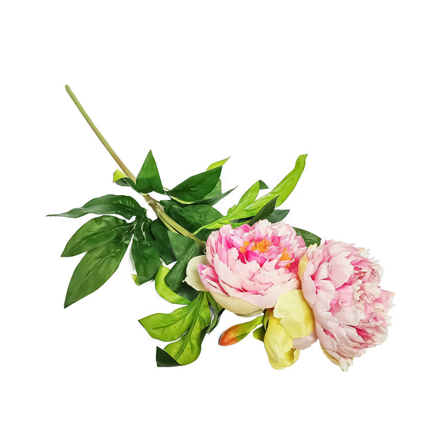Peony L/pink 14cm