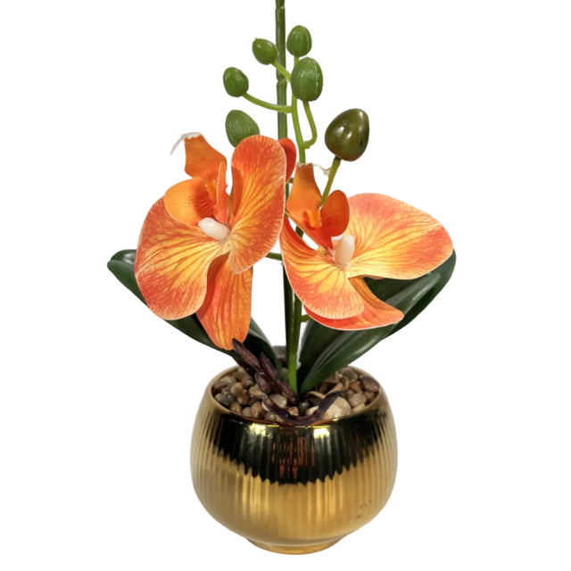 Orange orchid in gold pot 43cm